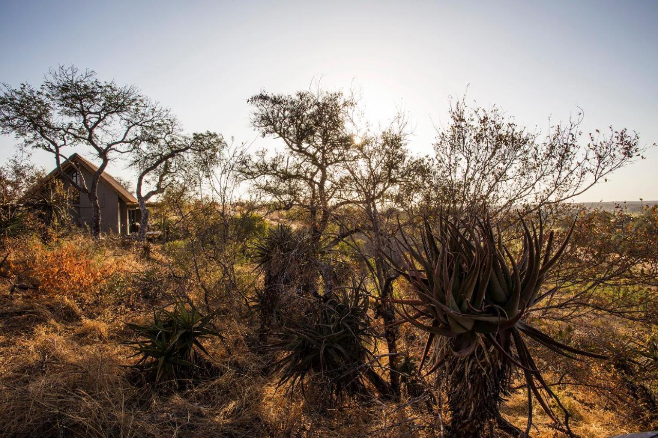 Klaserie Drift Klaserie Private Nature Reserve Exterior photo